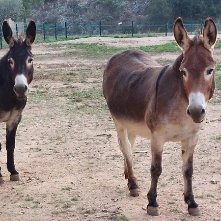 La Vernede ロクブリューヌ・シュル・アルジャン